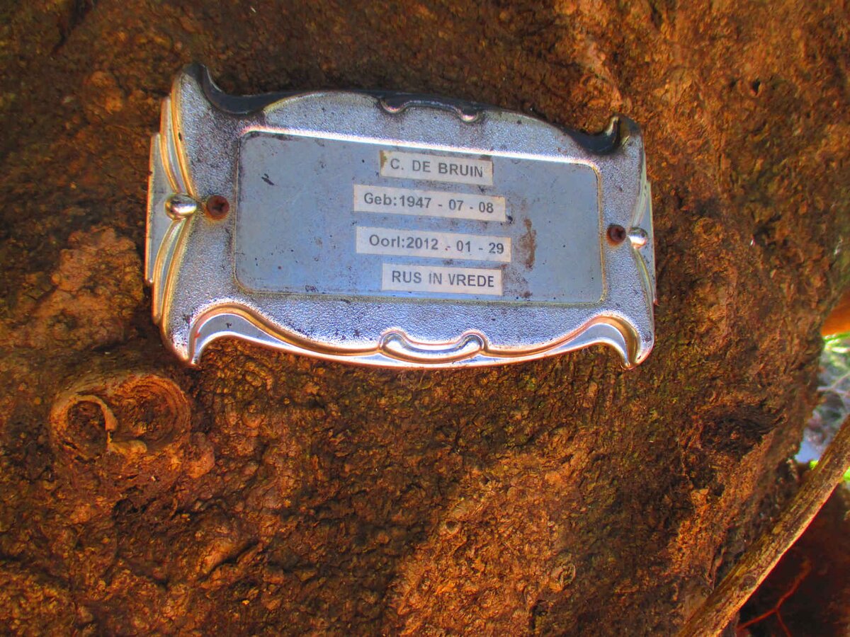 BRUIN C., de 1947-2012