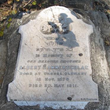 HAMMERSCHLAG Albert 1878-1911