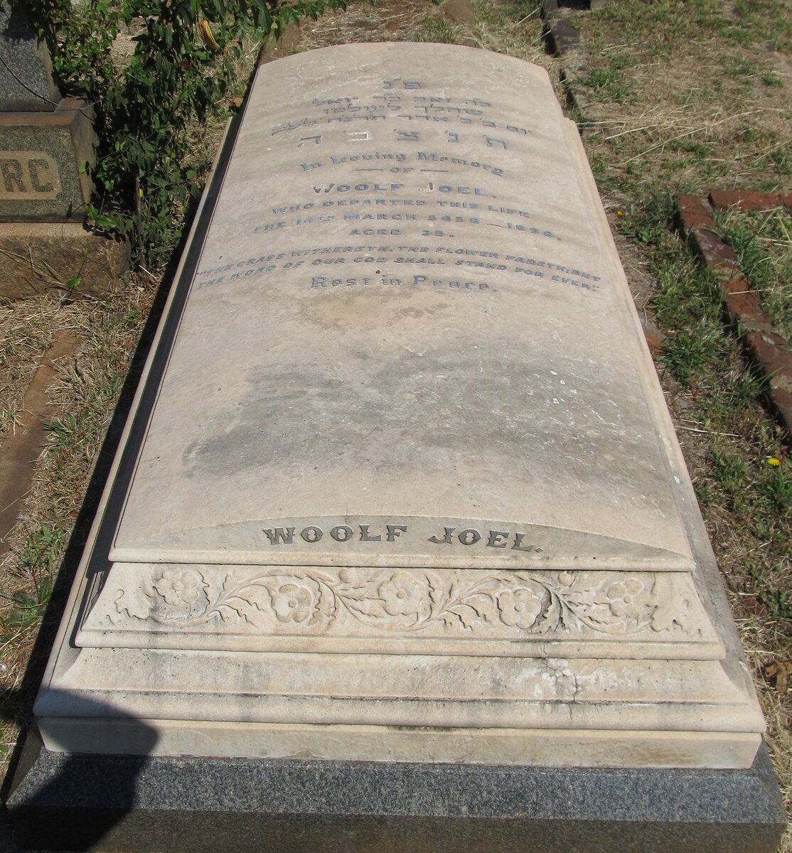 JOEL Woolf -1898