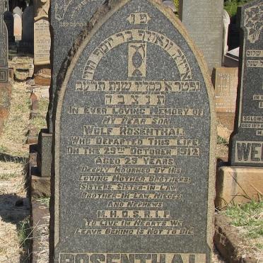 ROSENTHAL Wolf -1912