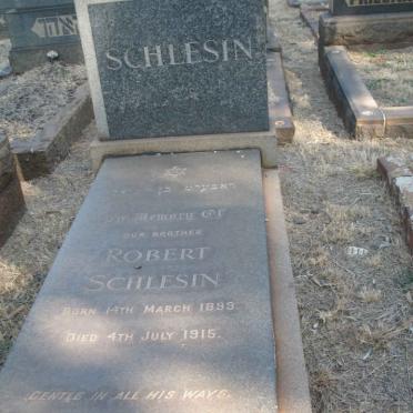 SCHLESIN Robert 1899-1915