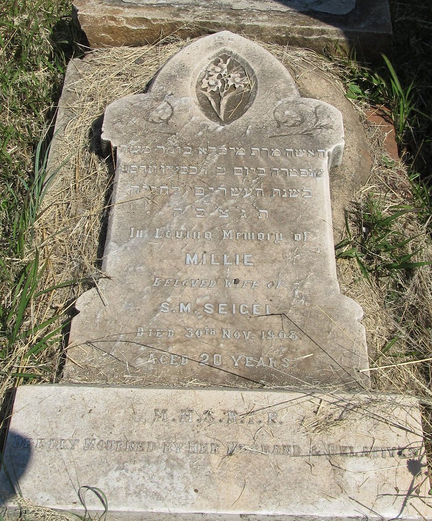 SEIGEL Millie -1908