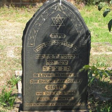 WEINSTEIN Gertie -1904