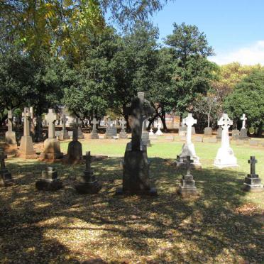 3. Overview / Oorsig