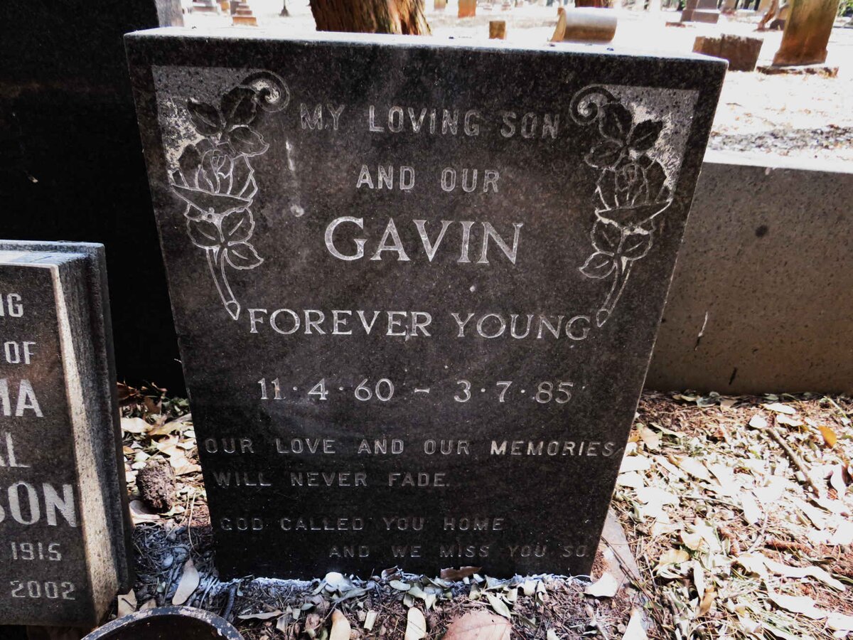 ? Gavin 1960-1985