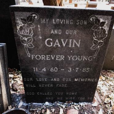 ? Gavin 1960-1985