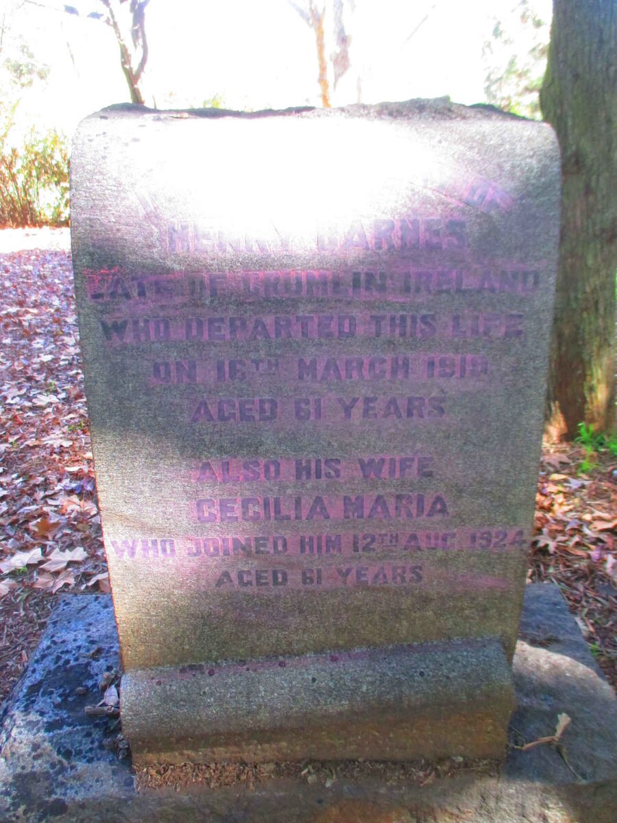 BARNES Henry -1919 & Cecilia Maria -1924