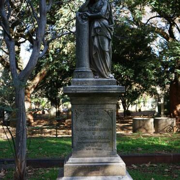 CLARKE Rose -1907 :: CLARKE F.A.B. 1881-1950