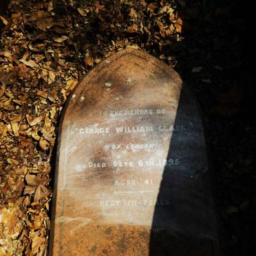 CLARK George William -1895