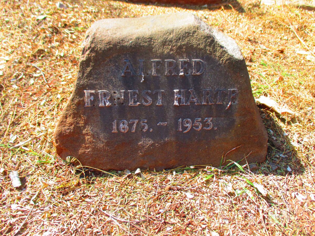 HARTE Alfred Fruest 1875-1953