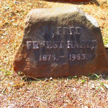 HARTE Alfred Fruest 1875-1953