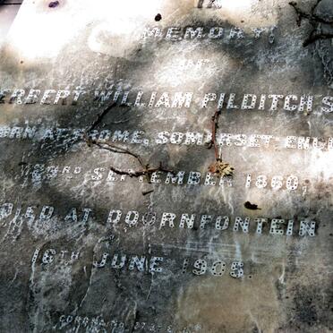 STEEDS Herbert William Pilditch 1860-1905