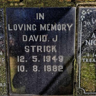 STRICK David J. 1949-1982