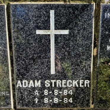 STRECKER Adam 1984-1984