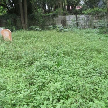 3. Oorsig / Overview