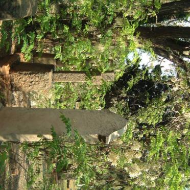 06. Overview / Oorsig