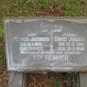 KOEKEMOER Petrus Jacobus 1860-1922 :: KOEKEMOER David Johannes 1899-1946