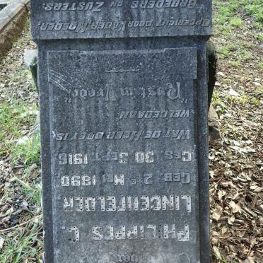 LINGENFELDER Philippes C. 1890-1916