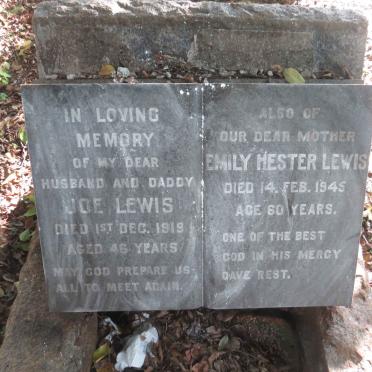 LEWIS Joe -1919 &amp; Emily Hester -1945