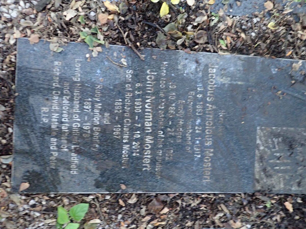 MOSTERT :: HODGES :: BENTLEY