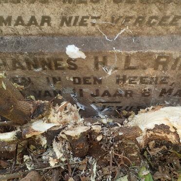 RIEKERT Johannes H.L. -1919