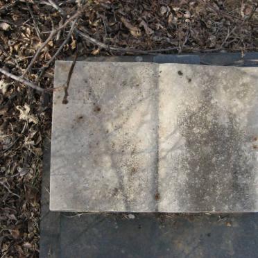 WALT Levina Catharina, van der