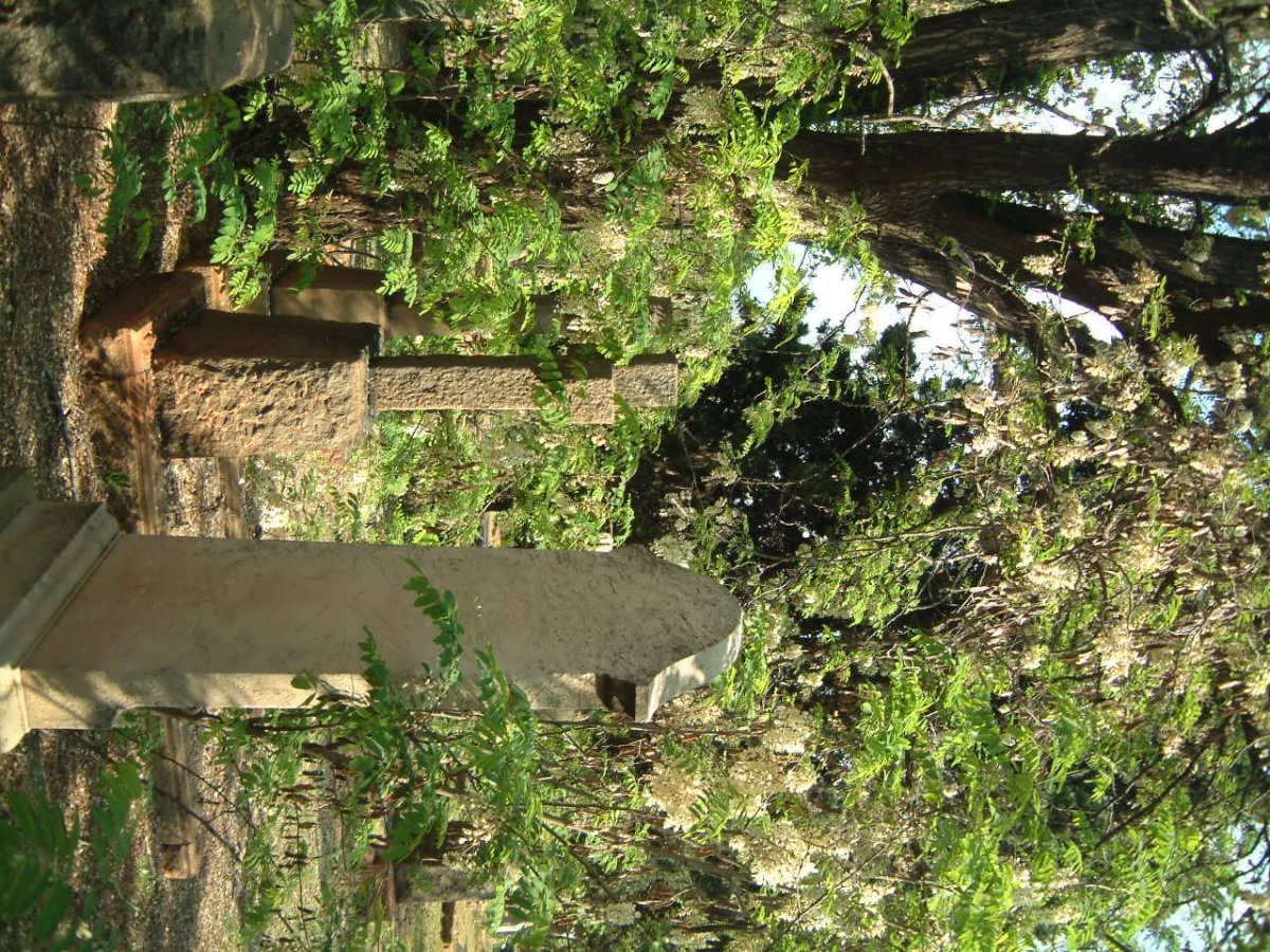 06. Overview / Oorsig