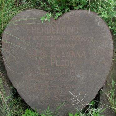 Gauteng, JOHANNESBURG, Langlaagte, cemetery between railway lines