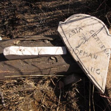 WEIDEMAN Maria Gertiena