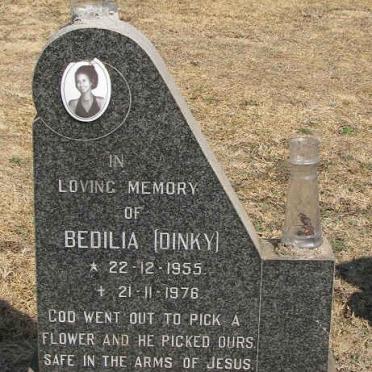 PETERSEN Bedilia 1955-1976 :: PETERSEN G.I.1922-1992