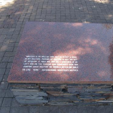 06. PIETERSON Hector -1976