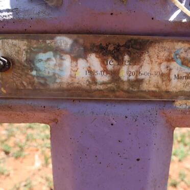 BEER ?, de 1965-2016