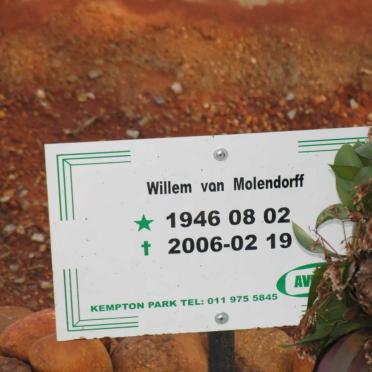 MOLENDORFF Willem, van 1946-2006