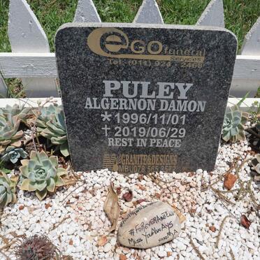 PULEY Algernon Damon 1996-2019