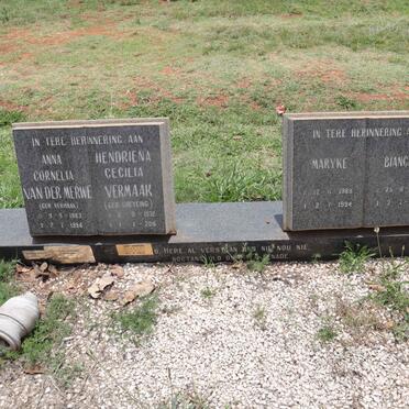 VERMAAK :: GREYLING :: VAN DER MERWE