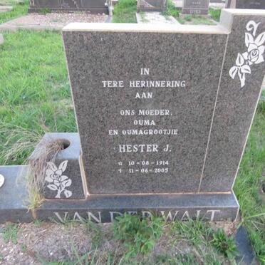 WALT Hester J., van der 1914-2005