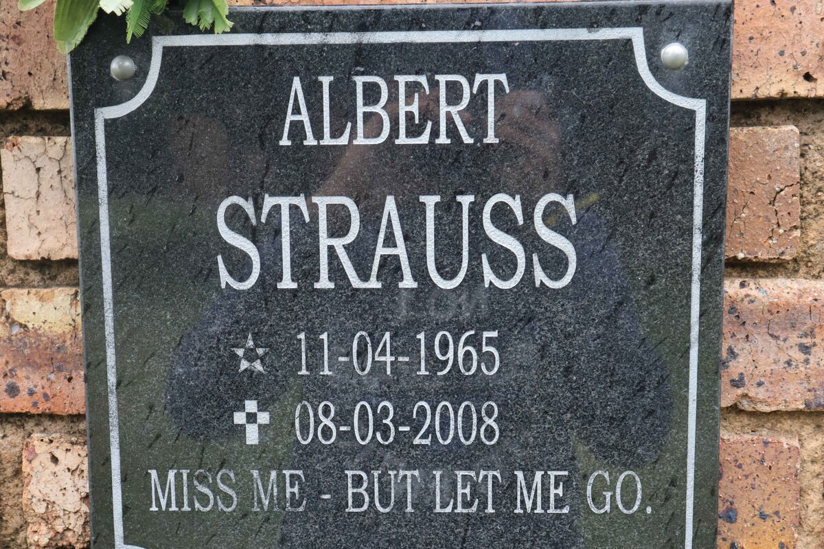 STRAUSS Albert 1965-2008