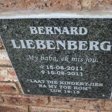 LIEBENBERG Bernard 2011-2011