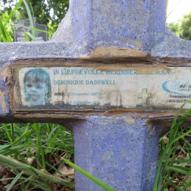 DADSWELL Dominique 2007-2011