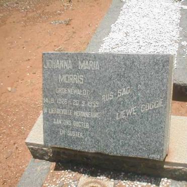 MORRIS Maria Johanna nee GROENEWALD 1926-1959