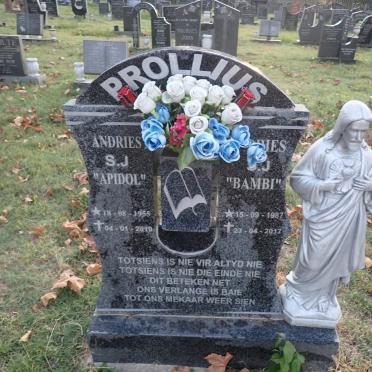 PROLLIUS Andries S.J. 1955-2019 :: PROLLIUS Andries S.J. 1987-2017