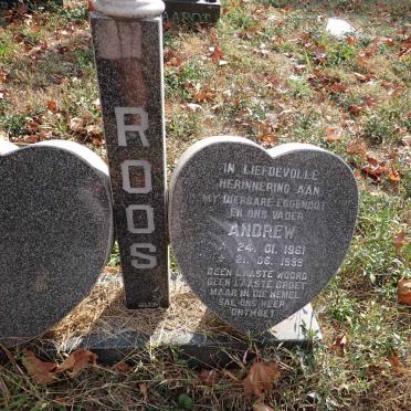 ROOS Andrew 1961-1999