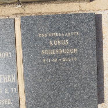 SCHLEBUSCH Kobus 1942-1978