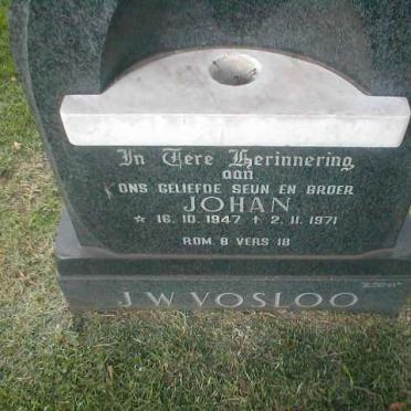 VOSLOO Johan W. 1947-1971