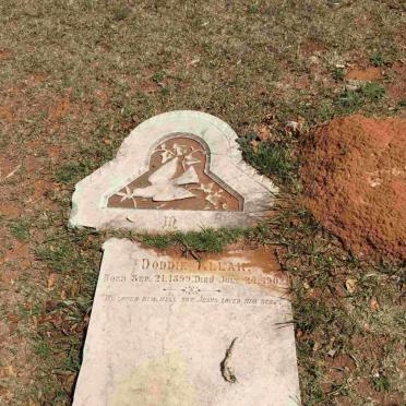 ALLAN Doddie 1899-1902