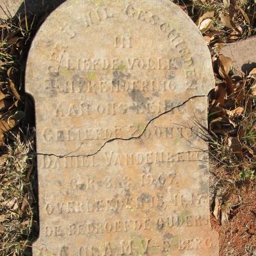 BERG Daniel, van den 1907-1917