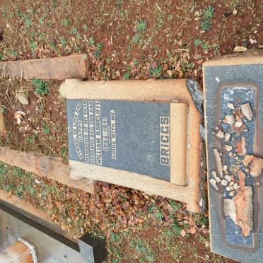 BRIGGS William Rawcliffe 1885-1941