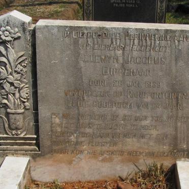 DIPPENAAR Allewyn Jacobus -1939