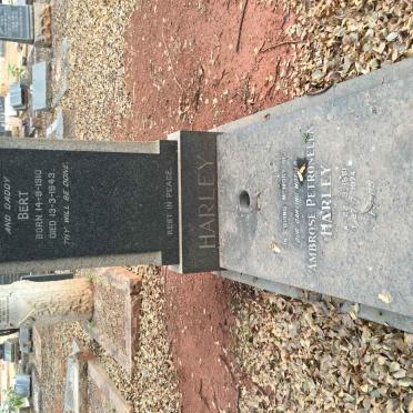 HARLEY Ambrose Petronella 1881-1974 :: HARLEY Bert 1910-1943