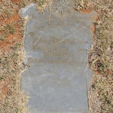 JONES Henry Benjamin 1859-1902